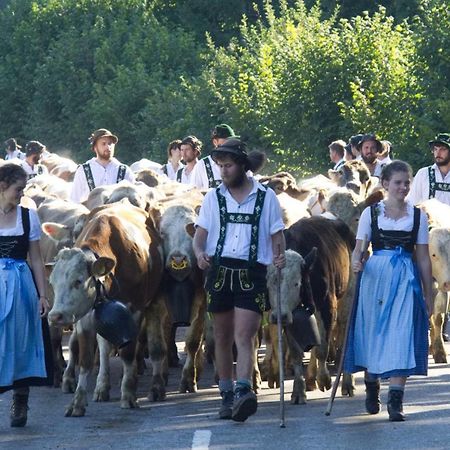 Fewo "Staufner Domizil" Oberstaufen Bagian luar foto