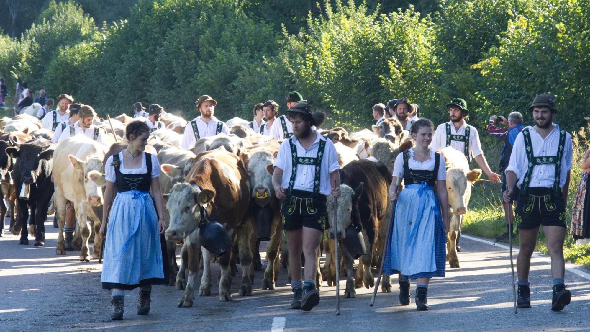 Fewo "Staufner Domizil" Oberstaufen Bagian luar foto