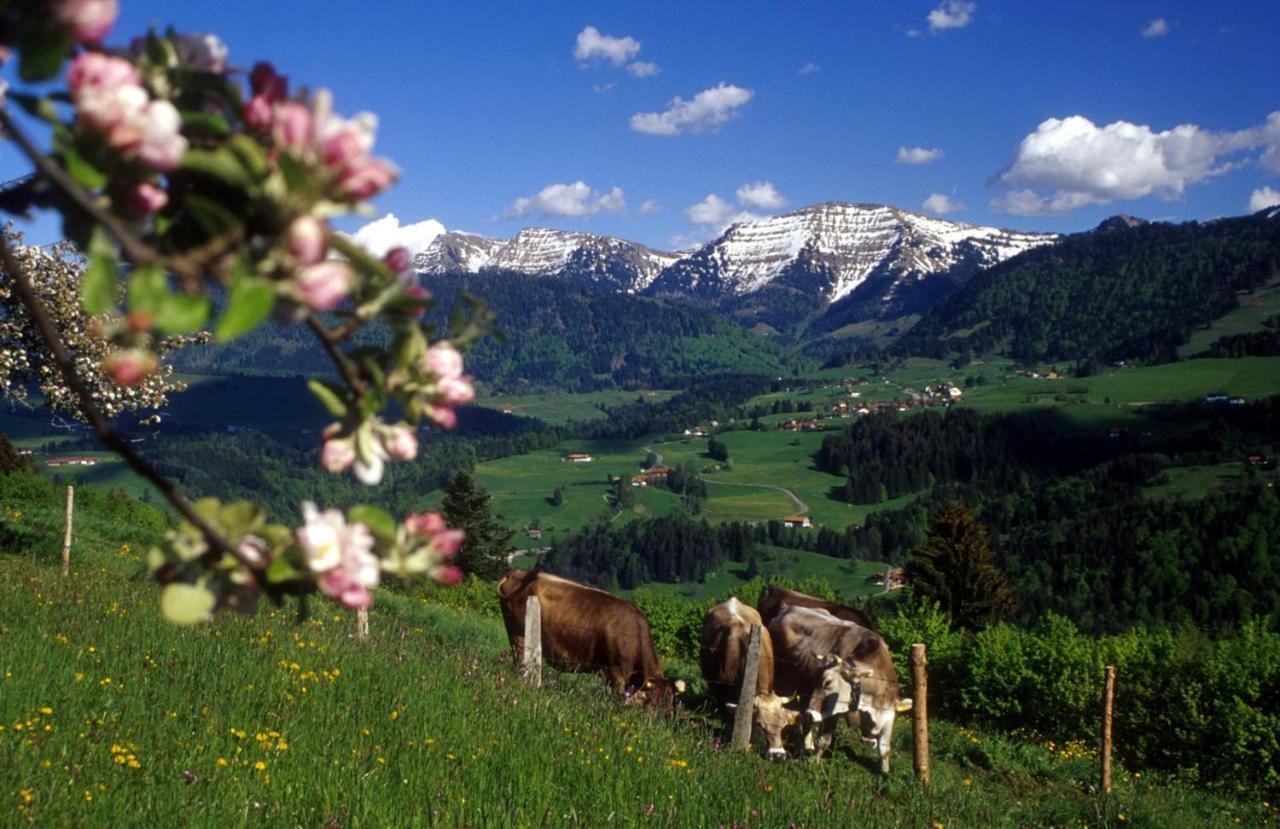 Fewo "Staufner Domizil" Oberstaufen Bagian luar foto